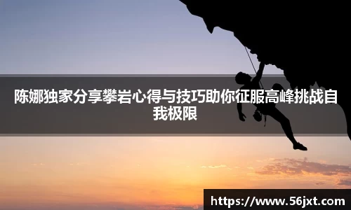 333体育