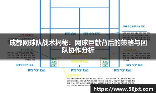 333体育官网